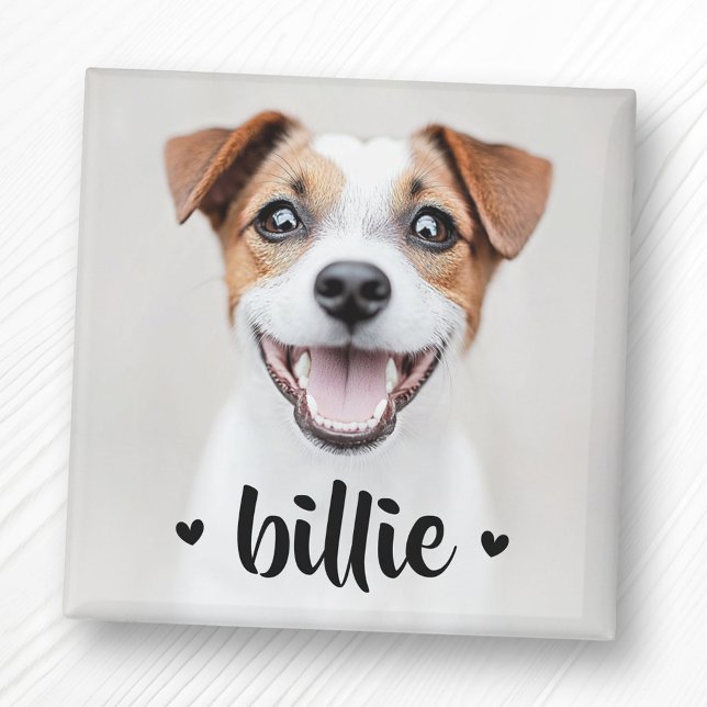 Hundshunzherzen Magnet (Pet dog cat name hearts magnet)