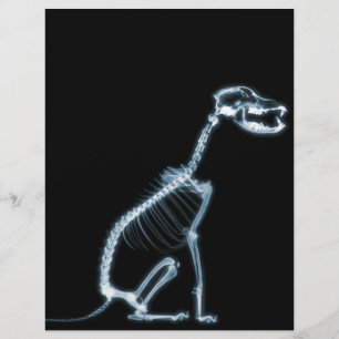 HUNDSITZUNG RÖHRLICHER SKELETON - BLAU & SCHWARZ
