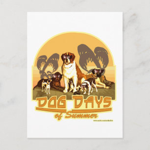 Hundstage des Sommers Postkarte