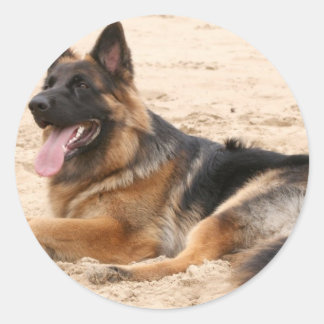Hundsticker Runder Aufkleber