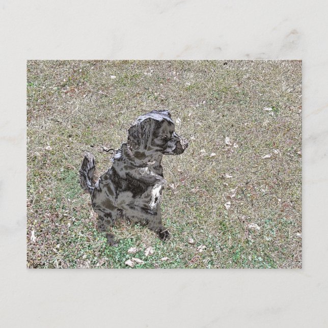 Hundsuhren aus schwarzem Labor Postkarte (Vorderseite)