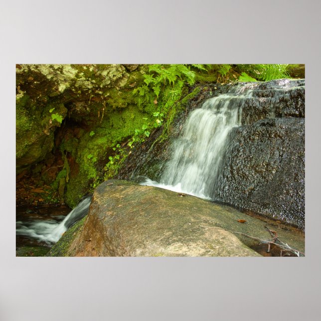 Hungarian Falls Mossy Forest Cascade Poster (Vorne)
