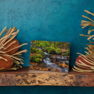 Hungerfallen   Columbia Gorge, Oregon Fotoplatte