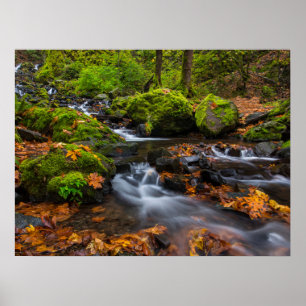 Hungerfallen Columbia Gorge, Oregon Poster