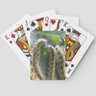 Hungerfestungen Weiße Raupen Kartenspielen Spielkarten