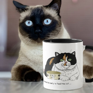 Hungerkatze am frühen Morgen Tasse