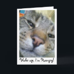 Hungerkatze Funny Greeting/Birthday Card Karte<br><div class="desc">Perfektes Beispiel meiner Katze Teddy, immer fragend für Essen!</div>