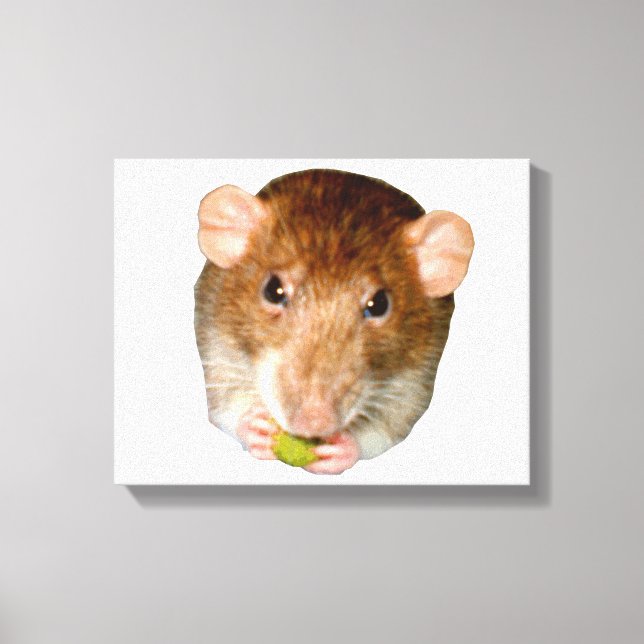 Hungerrat Canvas Print Leinwanddruck (Vorderseite)