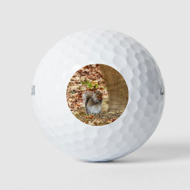 Hungriechrel Golfball (Vorderseite)