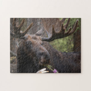 Hungrig, Hungermoose Puzzle