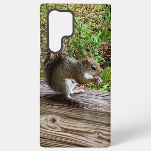 Hungrige Eichhörnchen Samsung Handyhüllen Galaxy Hülle