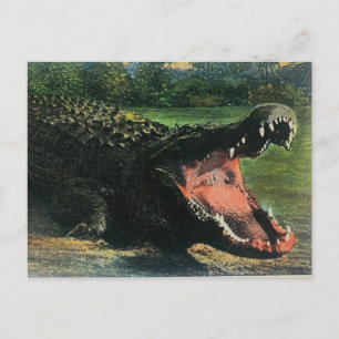 Hungrige Menschen fressende Alligator-Postkarte Postkarte