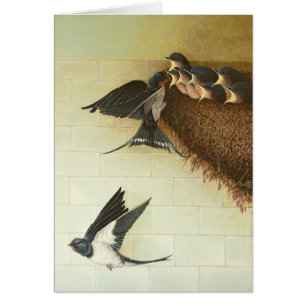 Hungrige Münder 2011