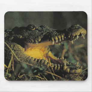 Hungriges Croc Mousepad