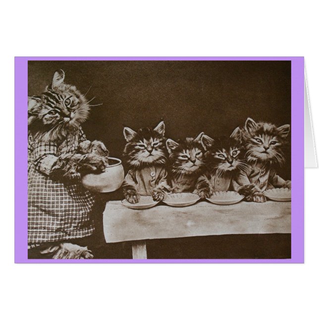 hungriges Kätzchen (Vorderseite (Horizontal))