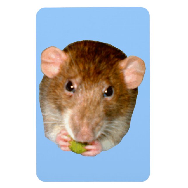 HungriRat Premium Magnet (Vertikal)