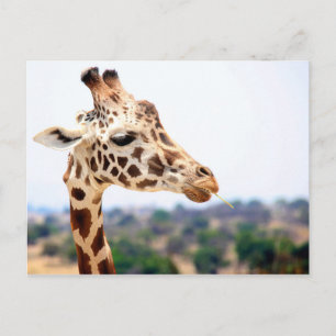 HUNGRY GIRAFFE POSTKARTE