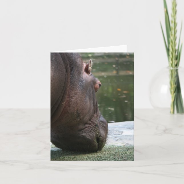 Hungry Hippo Notecard Karte (Vorderseite)