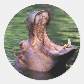 Hungry Hippo Runder Aufkleber