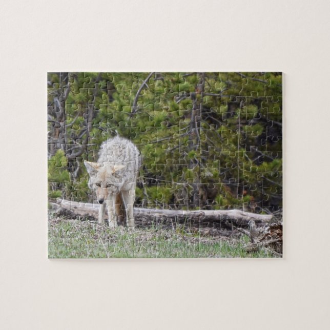 Hungry Like a Wolf - Yellowstone - 8x10 - 110 Stk. Puzzle (Horizontal)