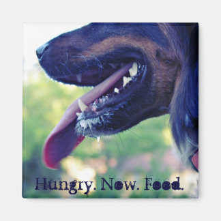 Hungry Magnet für Kühlschrank