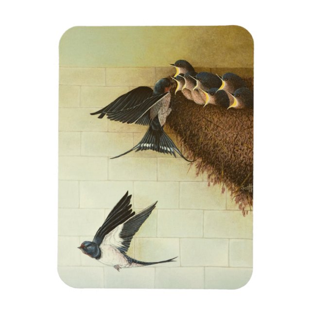 Hungry Mouths 2011 Magnet (Vertikal)