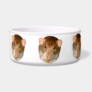 Hungry Rat Dog Bowl Napf