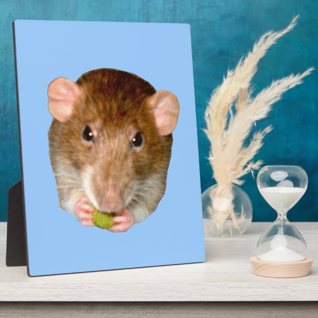 Hungry Rat Plaque Fotoplatte (Seite)