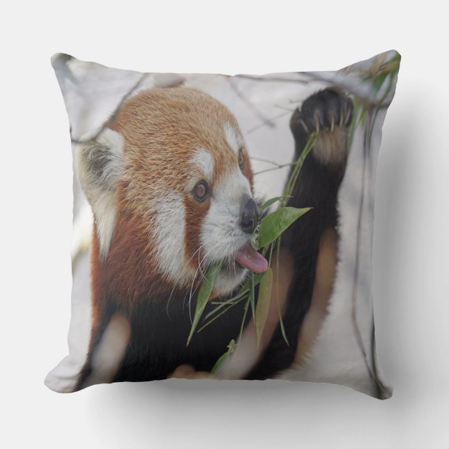 Hungry Red Panda Kissen (Vorderseite)