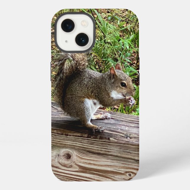 Hungry Squirrel iPhone Fälle Hülle (Rückseite)