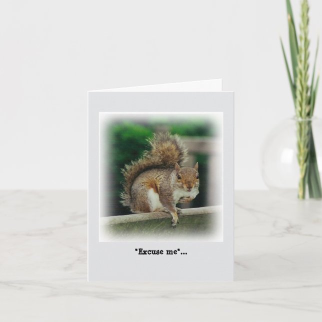 Hunguchhörnchen auf der Suche nach einer kostenlos Karte (Vorderseite)