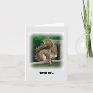 Hunguchhörnchen auf der Suche nach einer kostenlos Karte