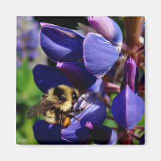 Hunny Bee Magnet