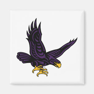 Hunter College Hawk Magnet
