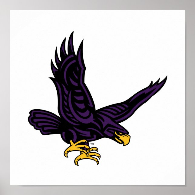 Hunter College Hawk Poster (Vorne)