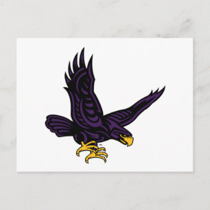 Hunter College Hawk Postkarte