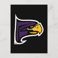 Hunter College Hawk Profil Maskottchen