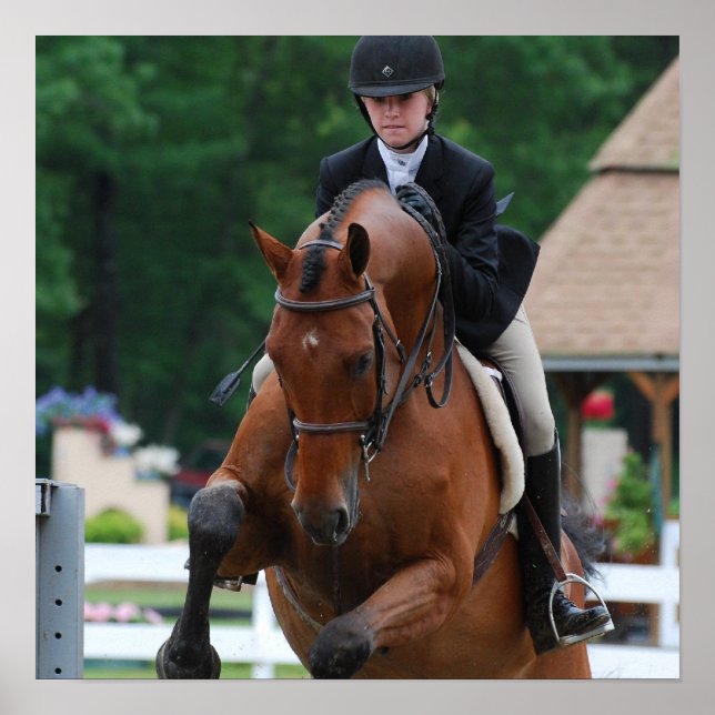 Hunter Horse Show Poster (Vorne)