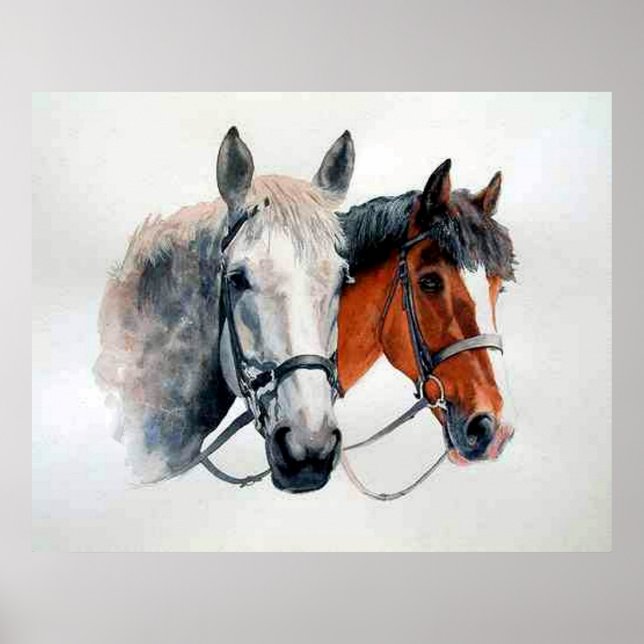 Hunter Horses Portrait Poster Print (Vorne)