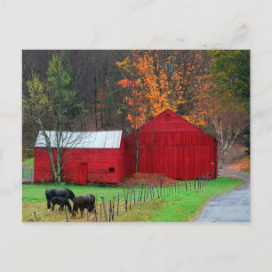 Hunter Mountain Postkarte