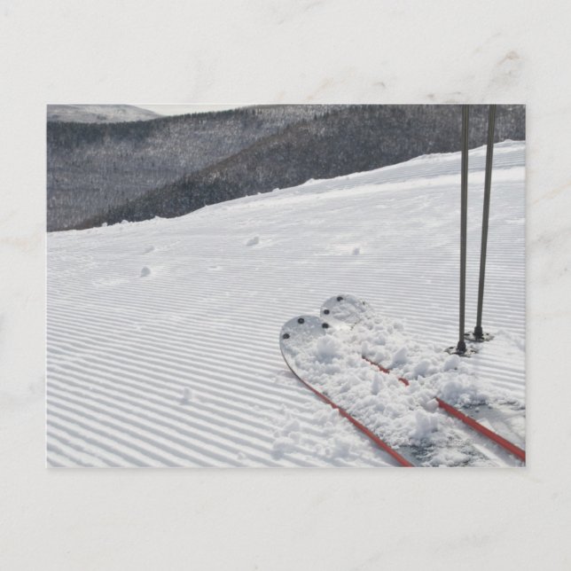 Hunter Postkarte (Vorderseite)