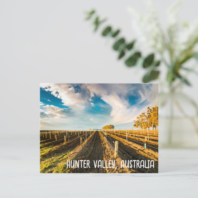 Hunter Valley, Australien Postcard Postkarte (Stehend Vorderseite)