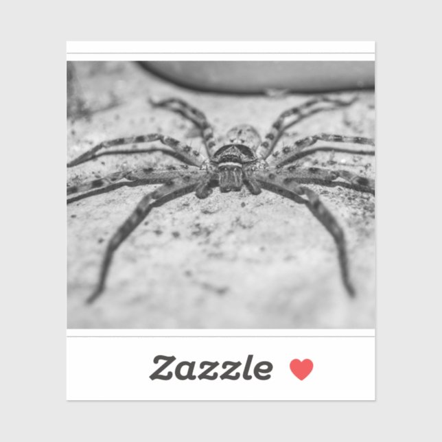 Huntsman Spider Aufkleber (Blatt)