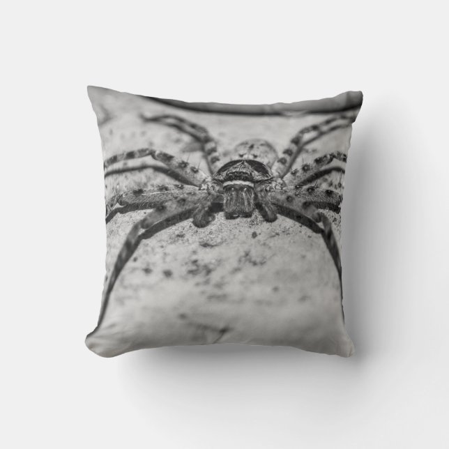 Huntsman Spider Kissen (Vorderseite)