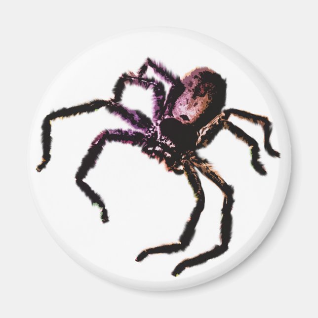 Huntsman Spider Magnet (Vorne)