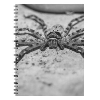 Huntsman Spider Notizblock