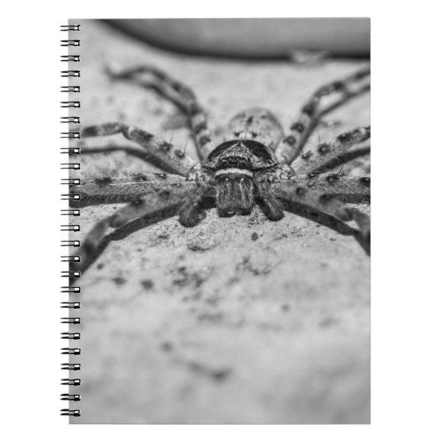 Huntsman Spider Notizblock (Vorderseite)