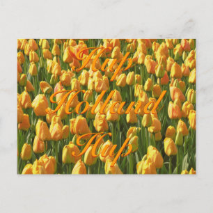 Hup Holland Hup Orange Tulips Postkarte