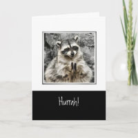 Hurrah! Niedlicher Racoon klatschen Funny Animal A