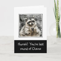 Hurrah! Niedliches Racoon klatschen Funny Last Che